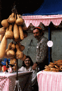 laura albert barbazou cougourdon