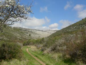 col de vence