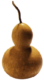 courges de vence cougourdon