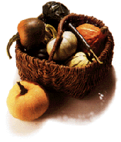 courges dans pannier albert vence