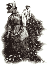 dessin parfumeuse fragonard